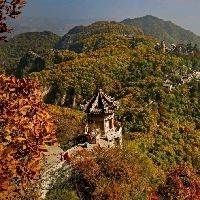 好運(yùn)錦鯉圖片 全國水族館企業(yè)名錄 第29張 好運(yùn)錦鯉圖片 好運(yùn)錦鯉圖片 全國水族館企業(yè)名錄 第29張