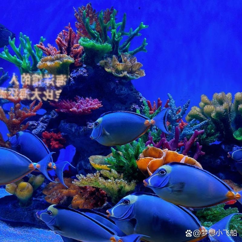 臺州水族館