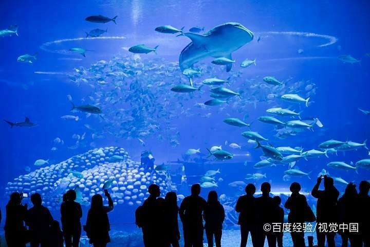 臺州水族館