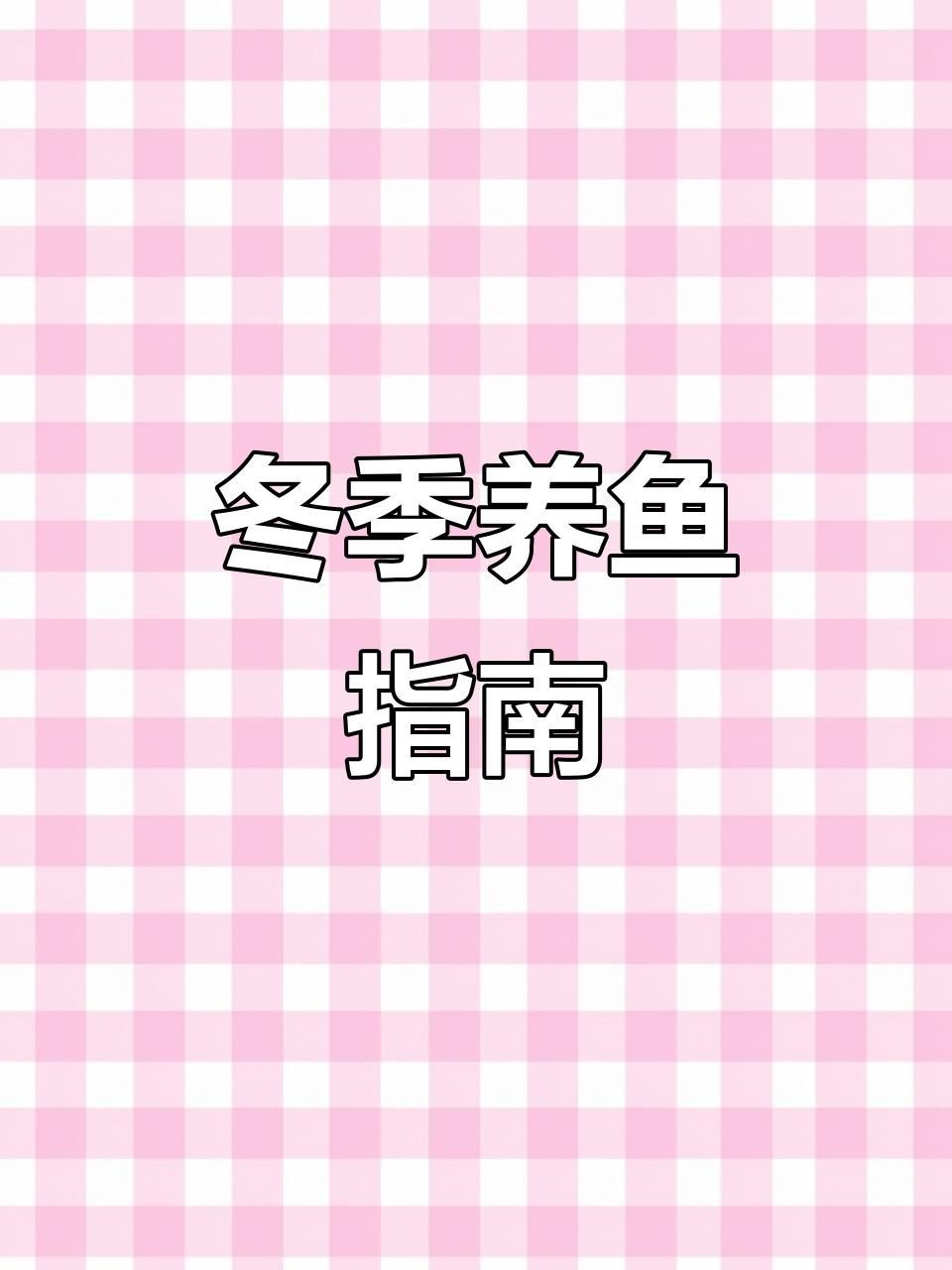 十大最好養(yǎng)小型冷水觀賞魚