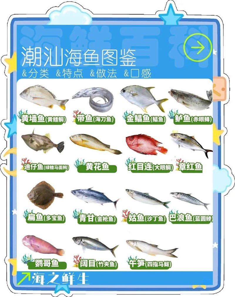海邊人常吃的40種海魚(yú)