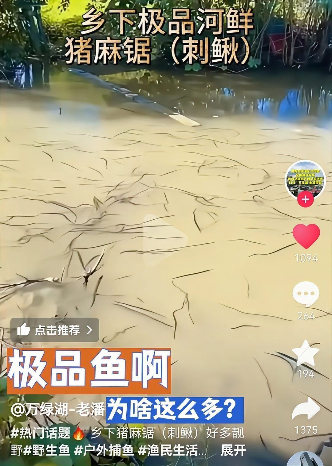 廣東鐮刀魚又叫什么魚