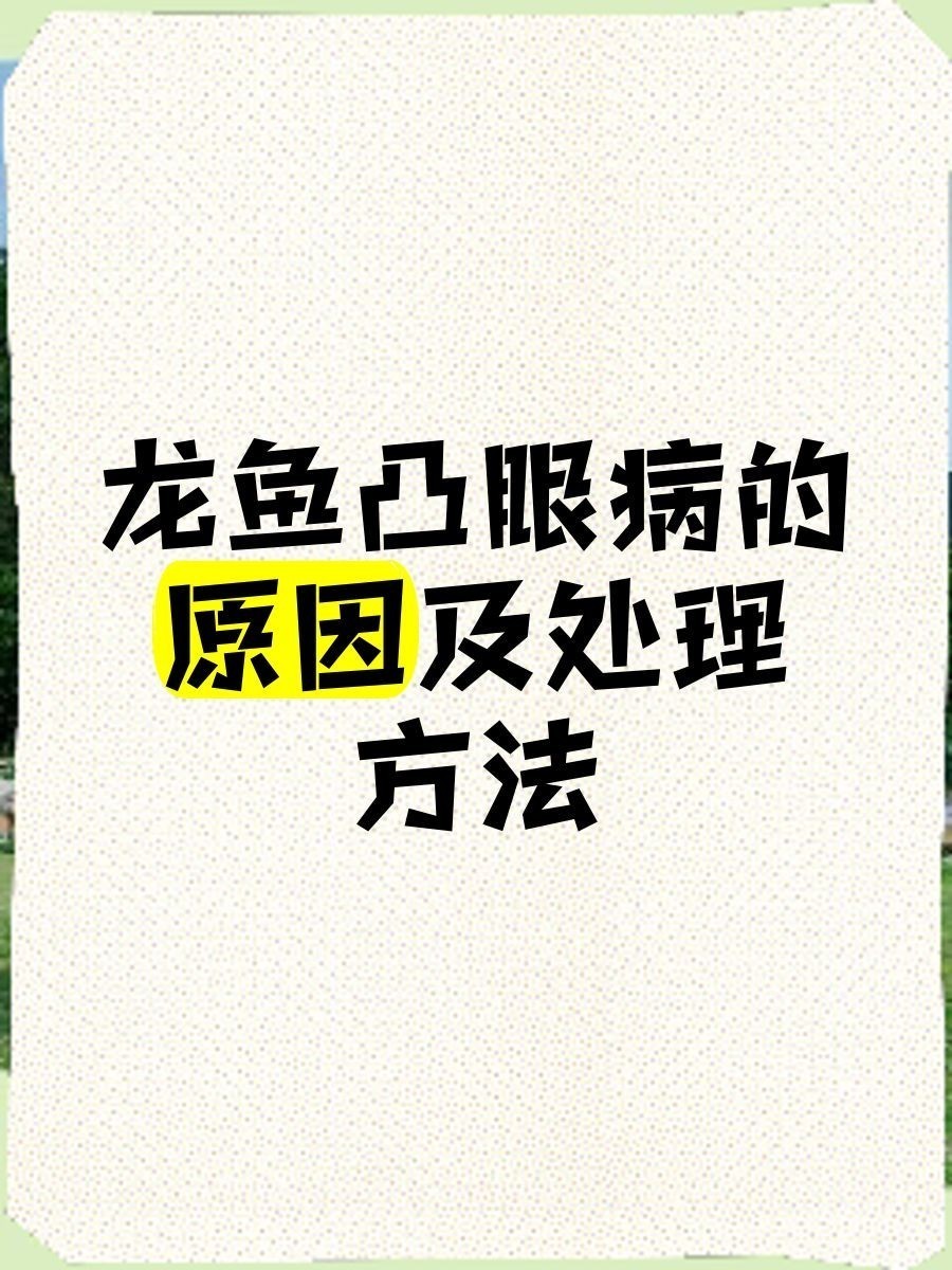 紅龍魚突眼最簡單恢復方法