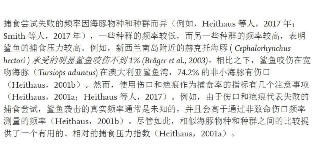 海豚和鯊魚圖片對比