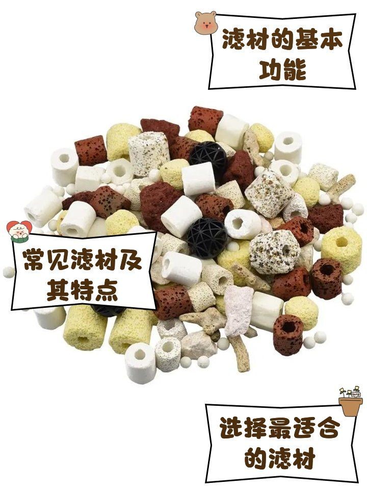 河里最好的濾材排名