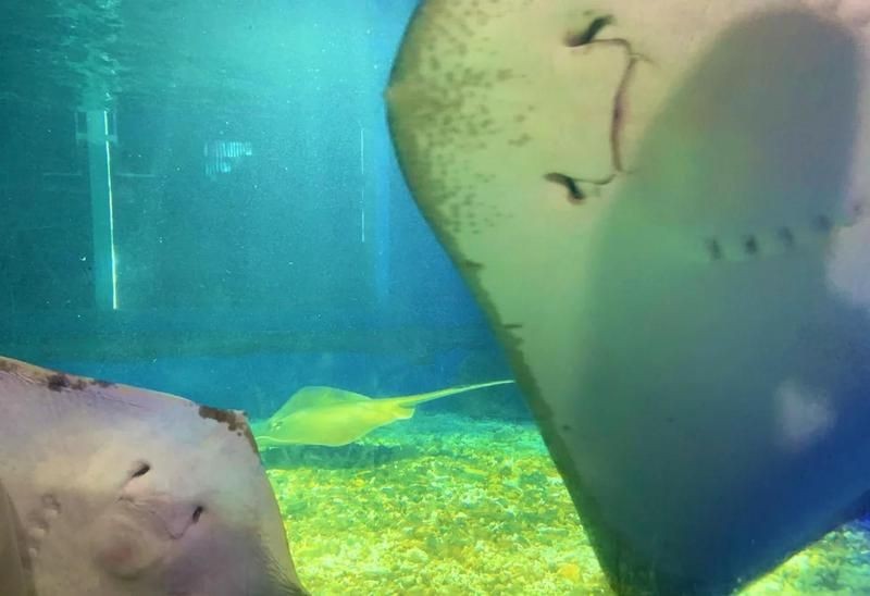上饒水族店 上饒水族店 全國水族館企業名錄 第5張