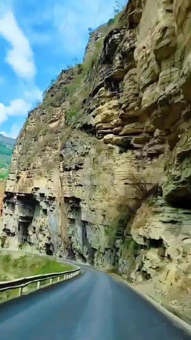 涼山彝族自治州水族批發市場