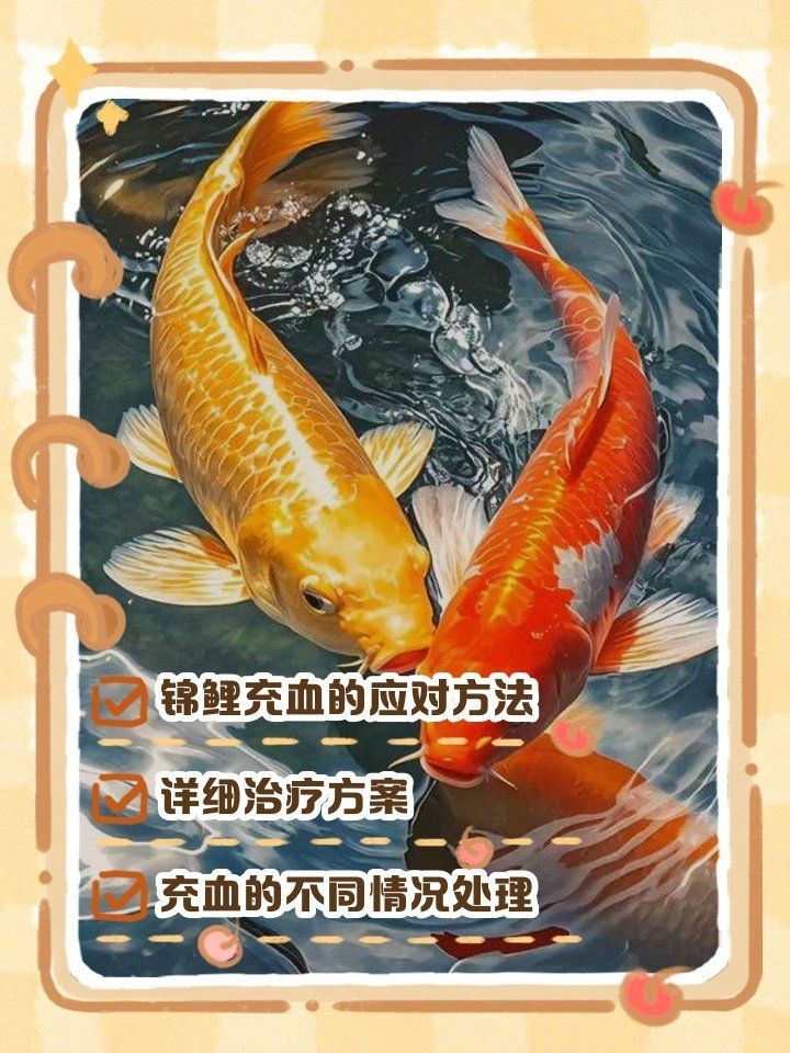 白錦鯉身體發紅要警惕