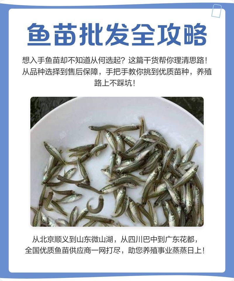 各種魚苗批發 淡水魚 各種魚苗批發 淡水魚 全國水族館企業名錄 第11張