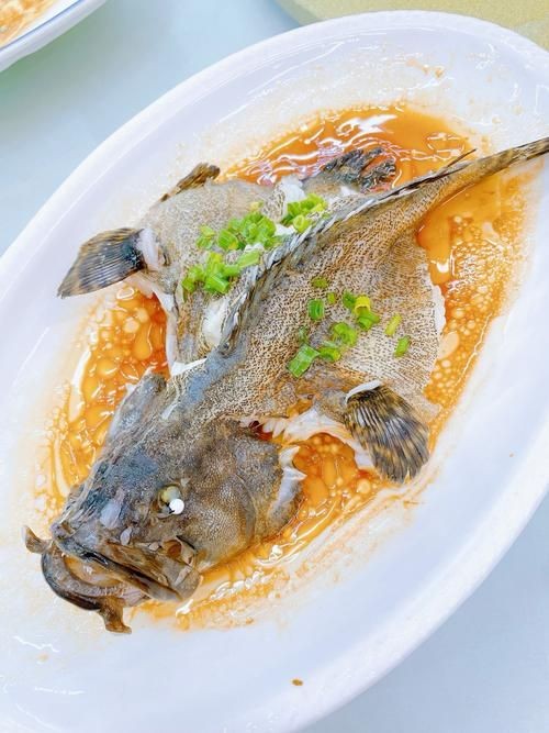 海老虎魚圖片