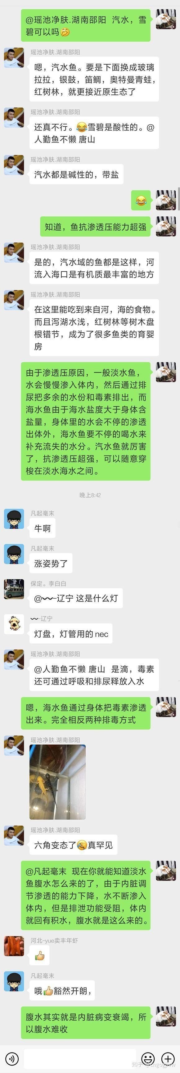 腹水魚最簡單三個處理