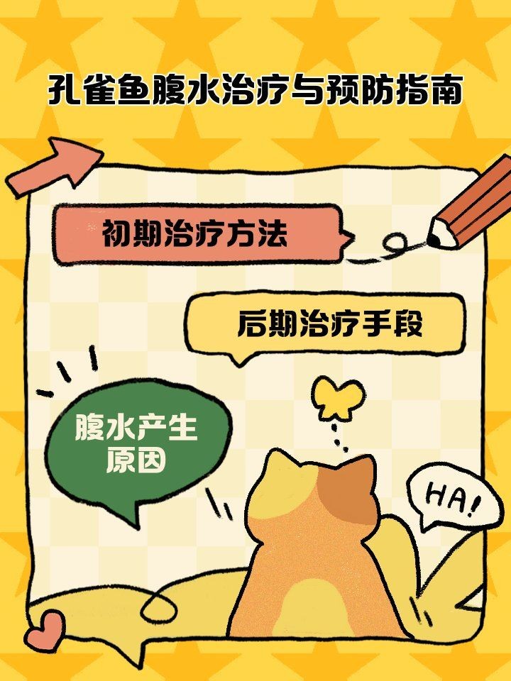 腹水魚最簡單三個處理