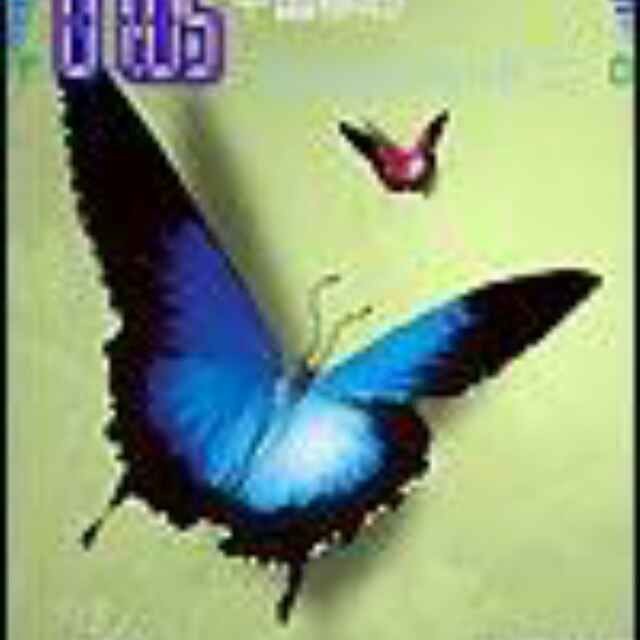 巨骨舌魚打得過鱷魚嗎