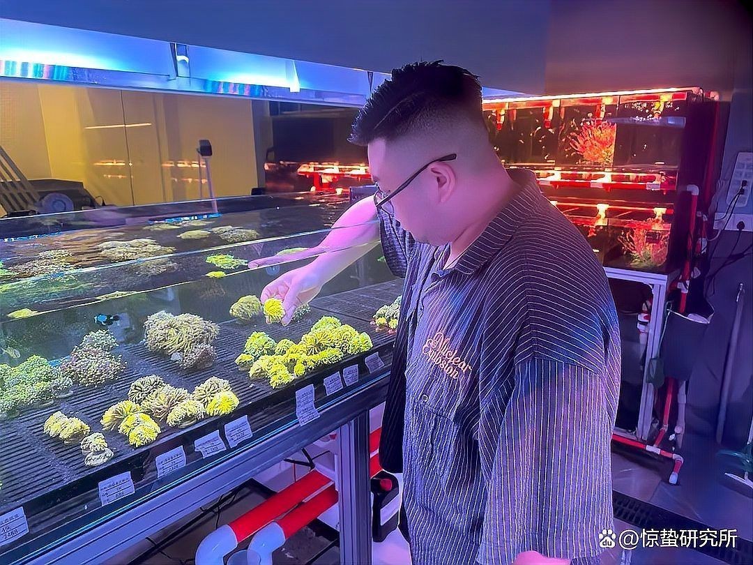 廣州有幾個觀賞魚市場