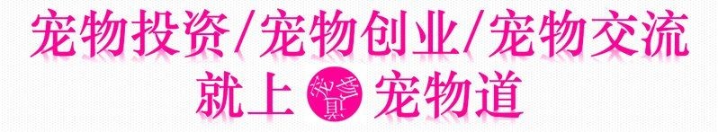 廣州有幾個觀賞魚市場