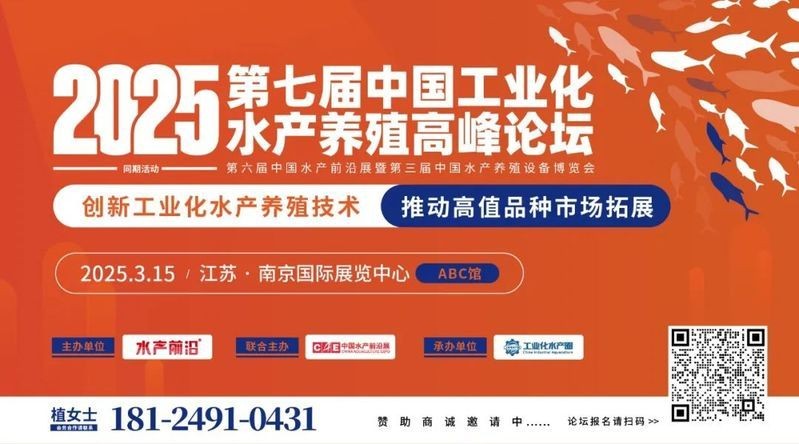 海魚多少一斤算正常 海魚多少一斤算正常 龍魚論壇 第8張