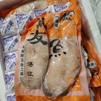 海魚的價格今日價 海魚的價格今日價 龍魚論壇 第5張