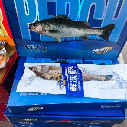海魚的價格今日價 海魚的價格今日價 龍魚論壇 第1張