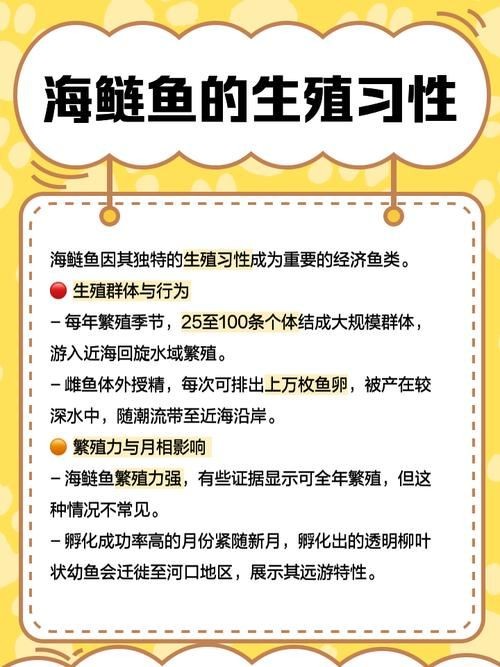 海鰱鳙魚圖片