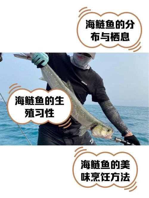 海鰱鳙魚圖片