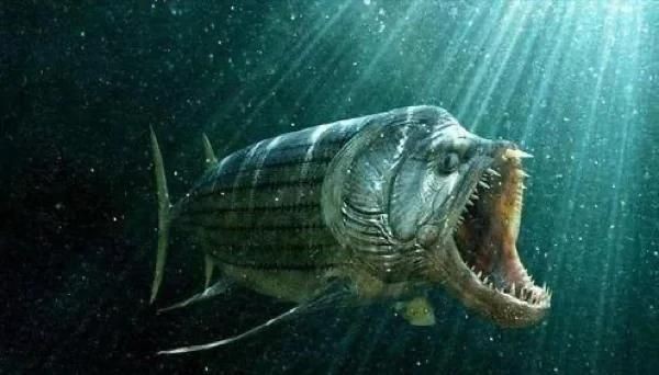 劍射魚還存在嗎，射魚是否仍存在于