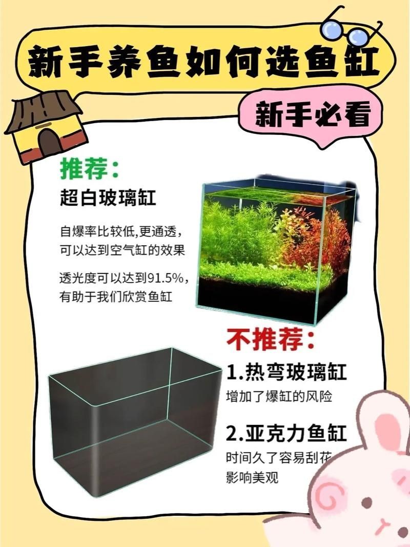 家庭魚缸養魚品種圖片，魚缸熱門觀賞魚品種精選及高清圖片 家庭魚缸養魚品種圖片，魚缸熱門觀賞魚品種精選及高清圖片 龍魚論壇 第19張