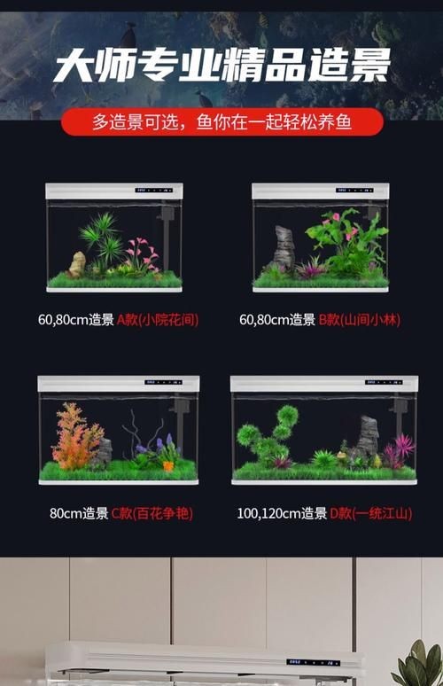 家庭魚缸養魚品種圖片，魚缸熱門觀賞魚品種精選及高清圖片 家庭魚缸養魚品種圖片，魚缸熱門觀賞魚品種精選及高清圖片 龍魚論壇 第25張