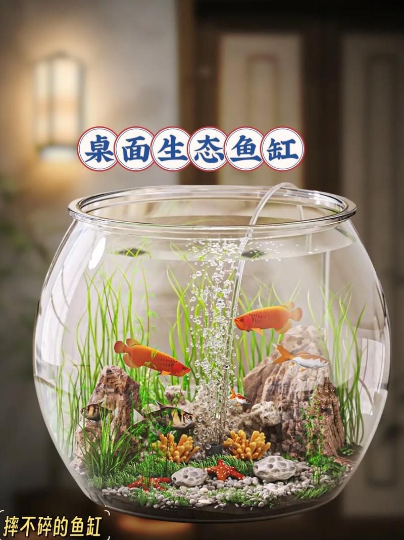 家庭魚缸養魚品種圖片，魚缸熱門觀賞魚品種精選及高清圖片 家庭魚缸養魚品種圖片，魚缸熱門觀賞魚品種精選及高清圖片 龍魚論壇 第13張