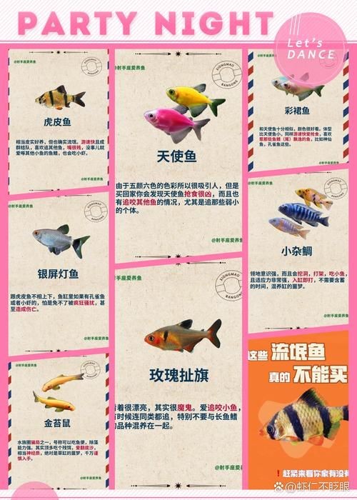 家庭魚缸養魚品種圖片，魚缸熱門觀賞魚品種精選及高清圖片 家庭魚缸養魚品種圖片，魚缸熱門觀賞魚品種精選及高清圖片 龍魚論壇 第4張