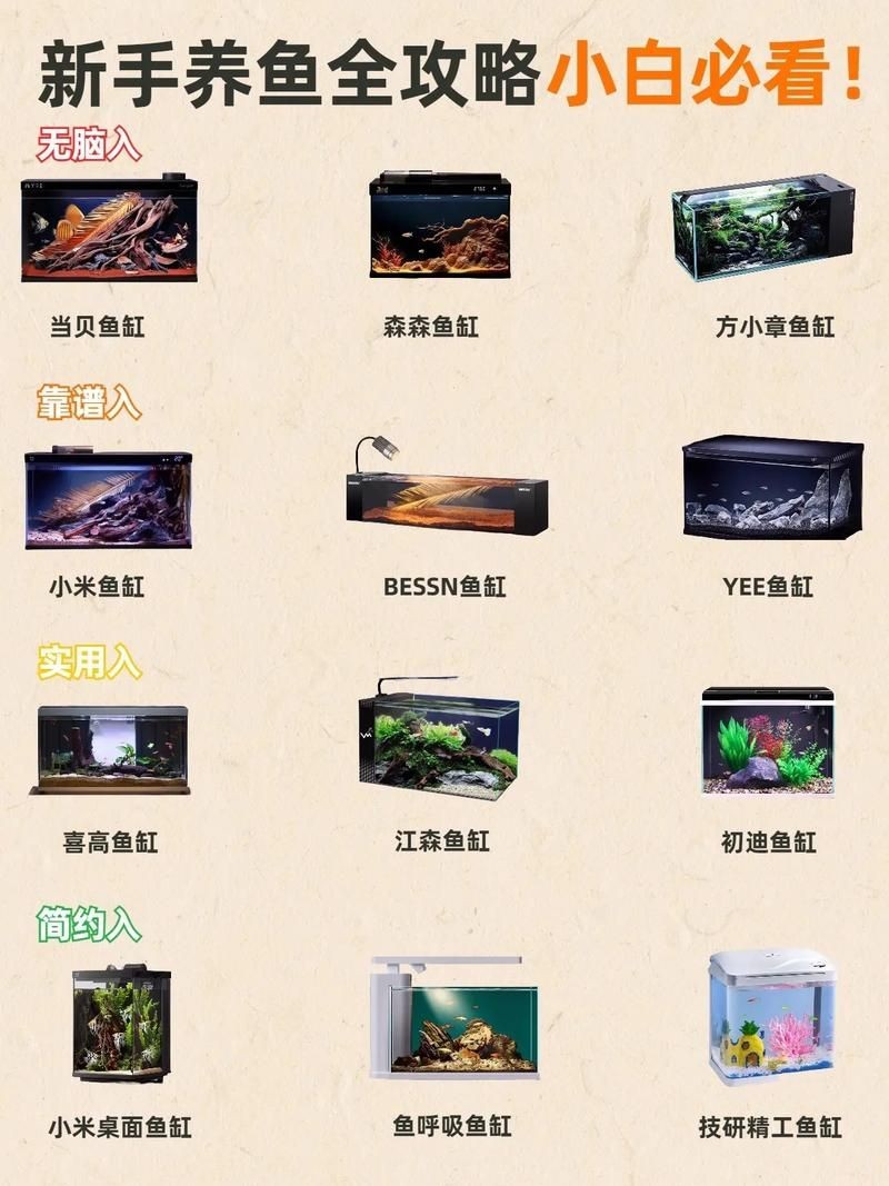 家庭魚缸養魚品種圖片，魚缸熱門觀賞魚品種精選及高清圖片 家庭魚缸養魚品種圖片，魚缸熱門觀賞魚品種精選及高清圖片 龍魚論壇 第16張