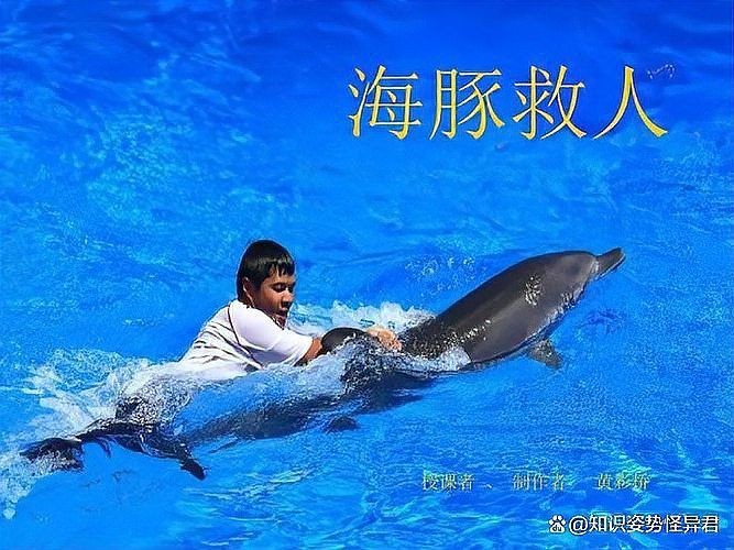 海豚為什么會救人，救人背后的真相與動機