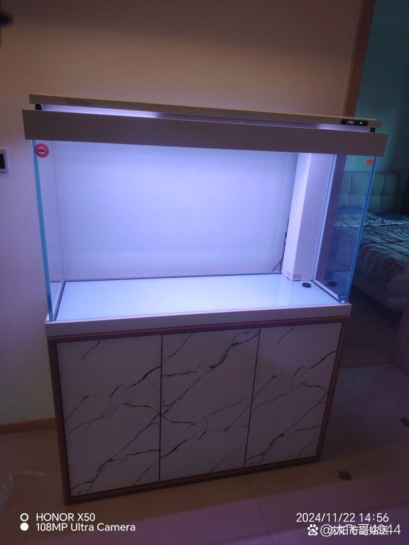 臨夏州魚缸維護，夏州魚缸清洗保養