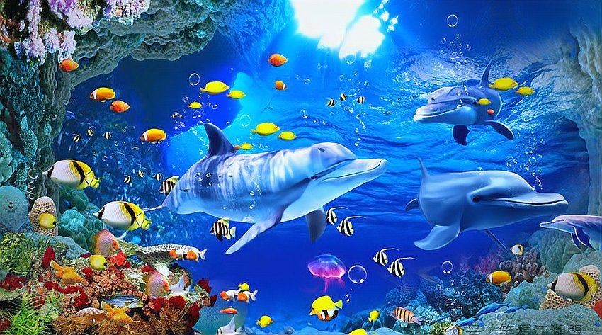 海底世界的科普小知識，索神秘海底，科普小