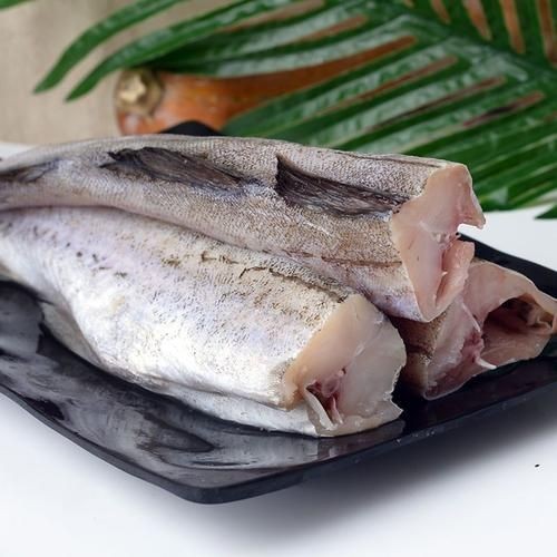 各種血魚圖片，各類血魚高清圖片