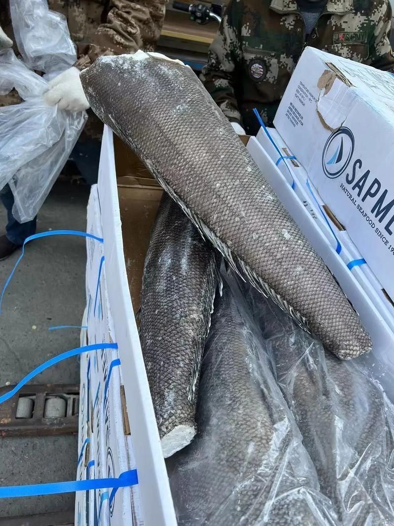 各種血魚圖片，各類血魚高清圖片