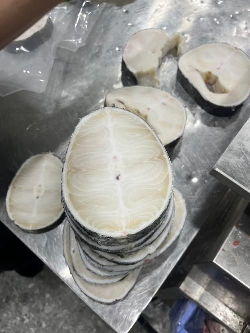 各種血魚圖片，各類血魚高清圖片