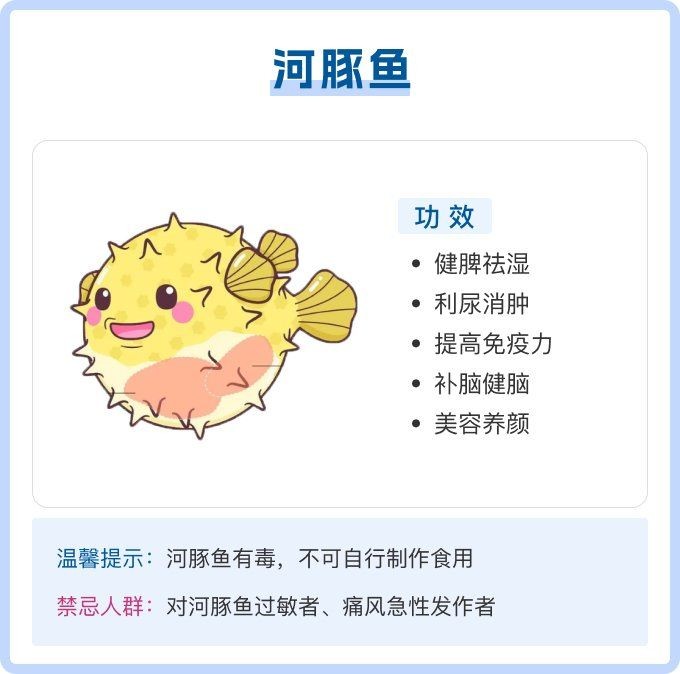 河豚魚的營養價值及功效，豚魚的食用禁忌