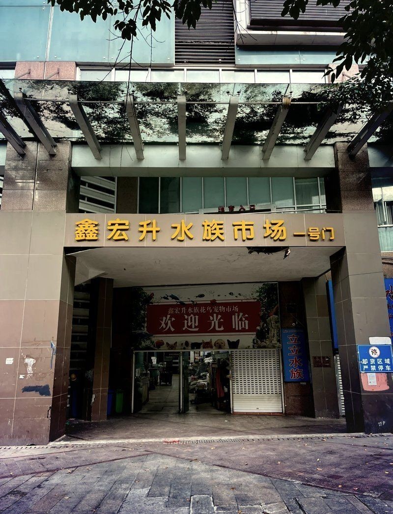 南平水族批發(fā)市場(chǎng)，平水族批發(fā)市場(chǎng)哪家好