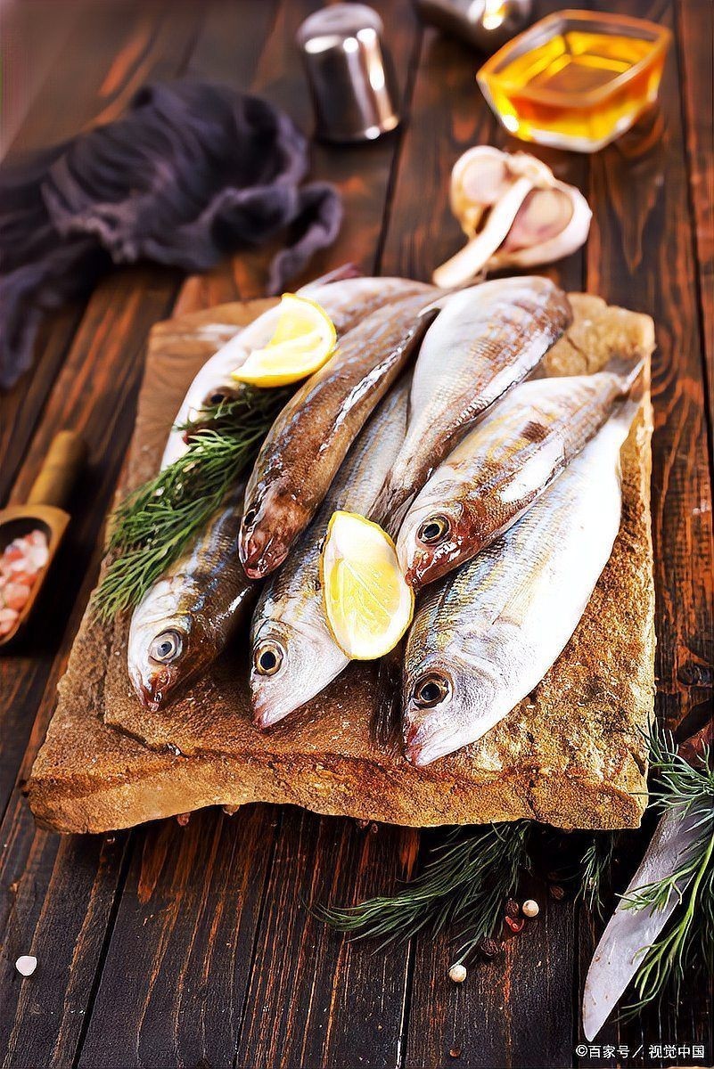 家里養(yǎng)貓又養(yǎng)魚(yú)相克嗎，同時(shí)養(yǎng)貓與魚(yú)是否真的相克