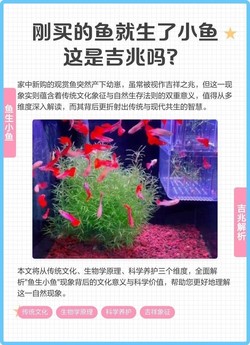 家里生小魚是吉兆嗎，生小魚有何預兆