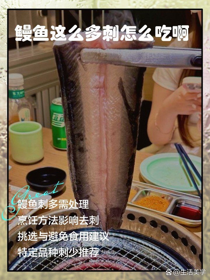 海鰻魚刺太多怎么去刺，鰻魚高效去刺