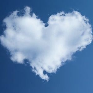 家養豬鼻龜警察找上門，養豬鼻龜竟違法？警察找上門 家養豬鼻龜警察找上門，養豬鼻龜竟違法？警察找上門 全國水族館企業名錄 第4張
