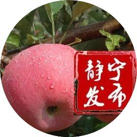 屬龍分為幾種龍，龍的不同類型細分解析