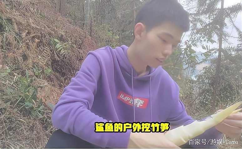 和平精英鯊魚身價多少個億，精英鯊魚真實身價揭秘，究竟擁有多少