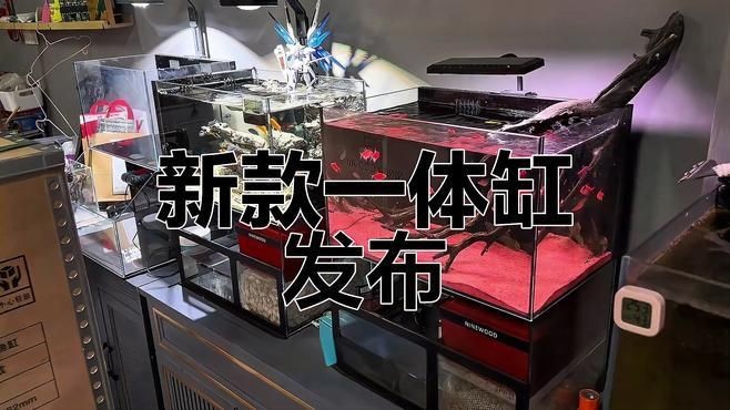 各種魚缸最新款，幾種不同風(fēng)格的下拉詞標(biāo)題供你參考，，各種魚缸最新款 | 時(shí)尚造型與實(shí)用功能兼具，各種魚缸最新款 | 高清展示，挑選攻略全解析，各種魚缸最新款 | 熱門新品，打造夢(mèng)幻