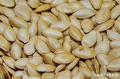 甲硝唑治療魚內寄生蟲用量，硝唑治療魚內寄生蟲具體用法用量 甲硝唑治療魚內寄生蟲用量，硝唑治療魚內寄生蟲具體用法用量 龍魚百科 第6張