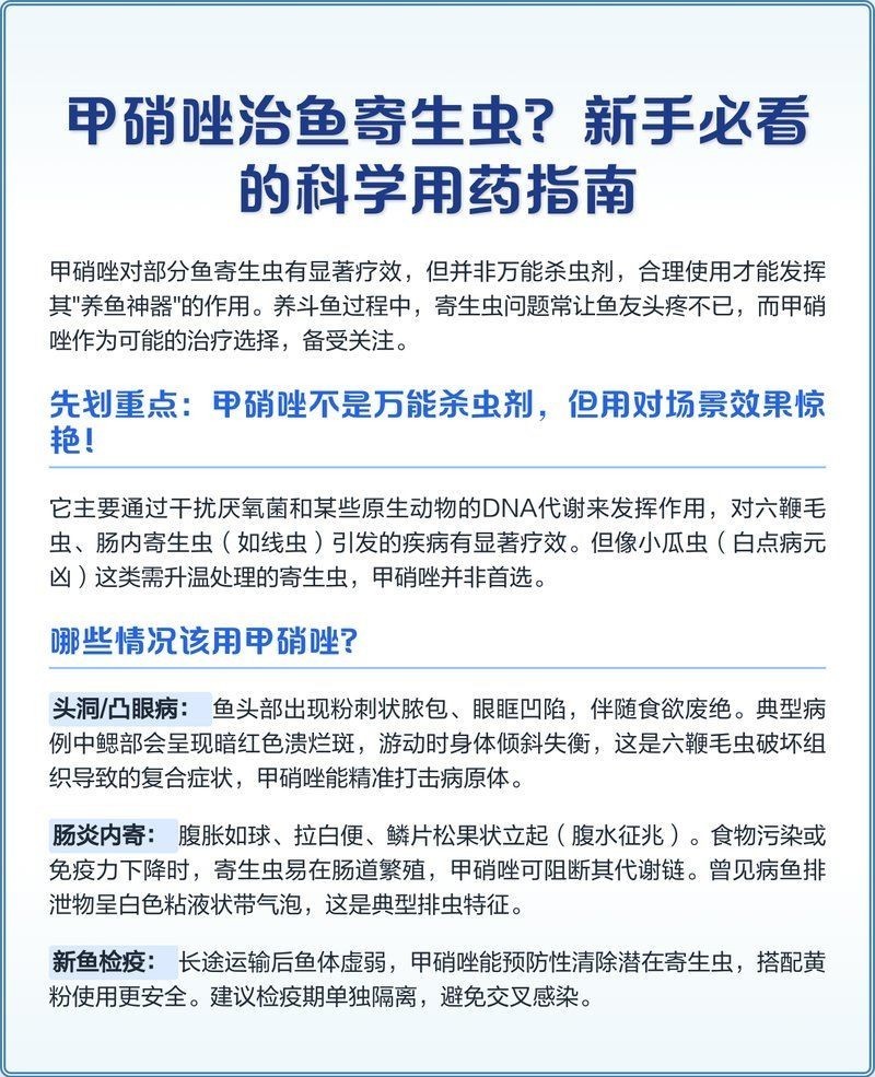 甲硝唑治療魚內寄生蟲用量，硝唑治療魚內寄生蟲具體用法用量 甲硝唑治療魚內寄生蟲用量，硝唑治療魚內寄生蟲具體用法用量 龍魚百科 第1張