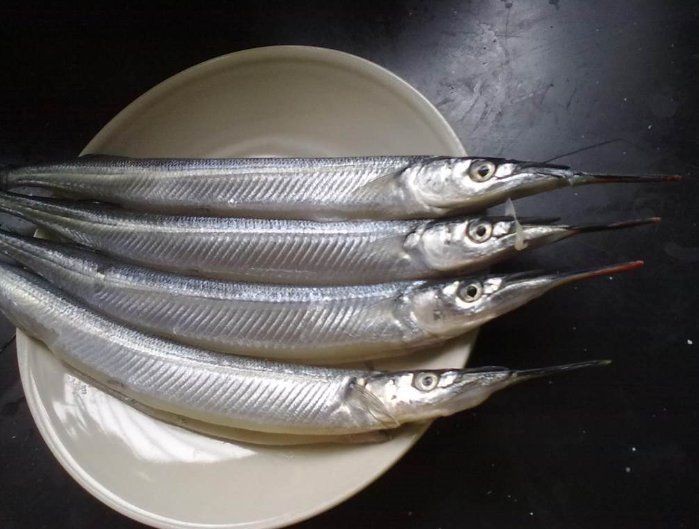 劍魚為什么沒人吃，魚無人食用之謎解析