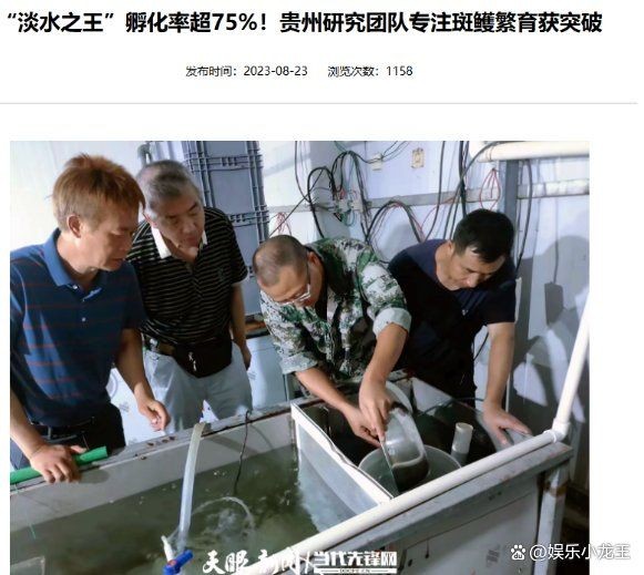 劍魚為什么沒人吃，魚無人食用之謎解析