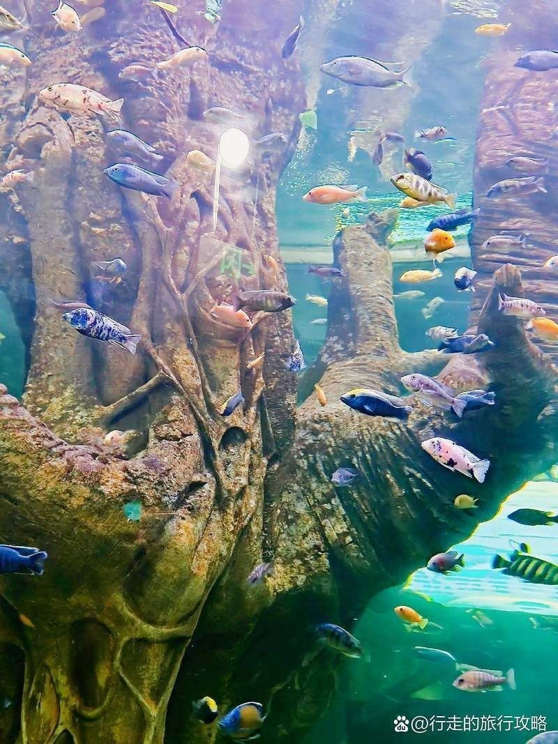南陽水族館，水族館熱門展區